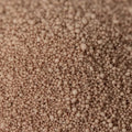 Mocha